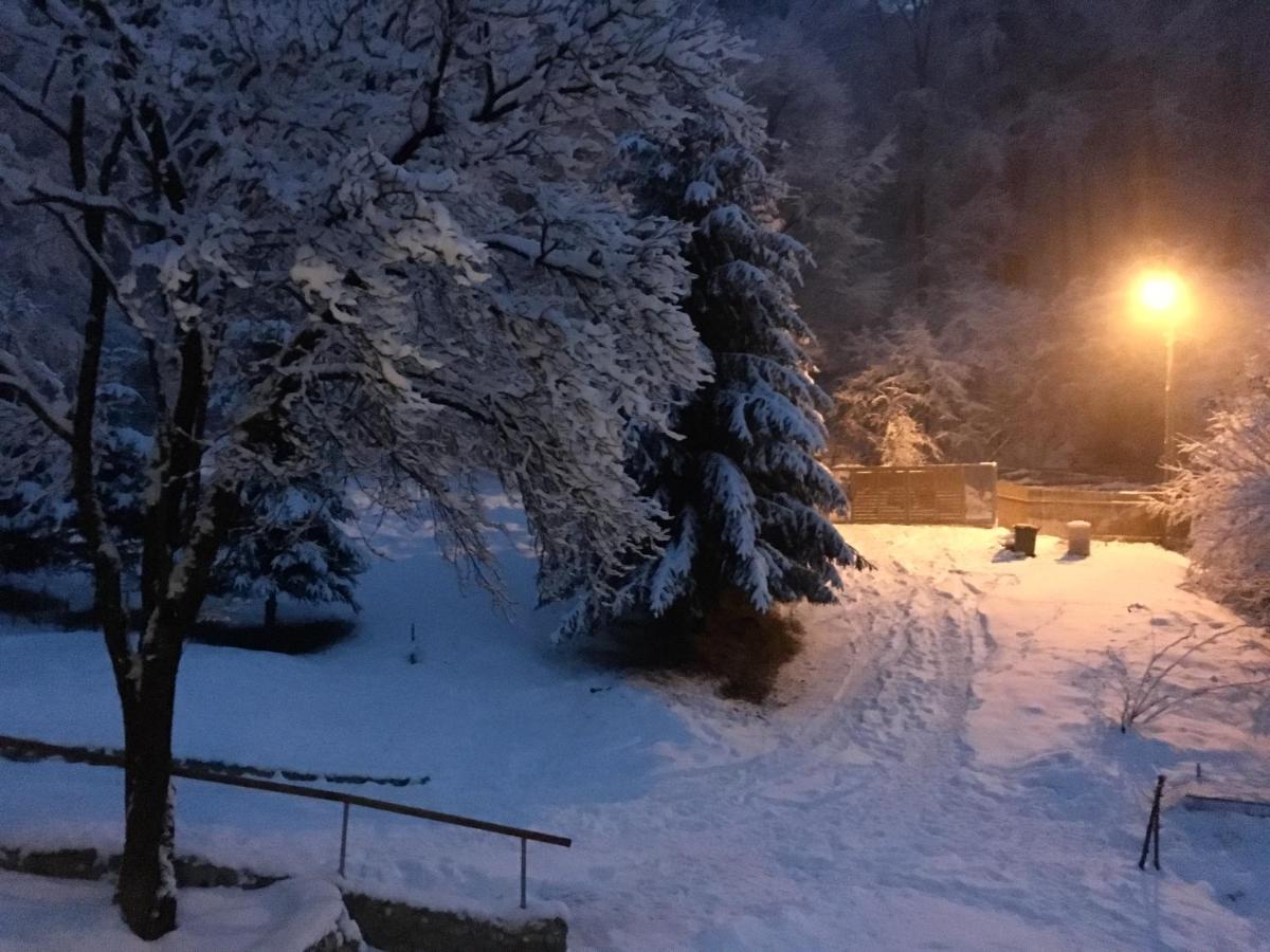 Soho Lodge Rasnov Eksteriør billede