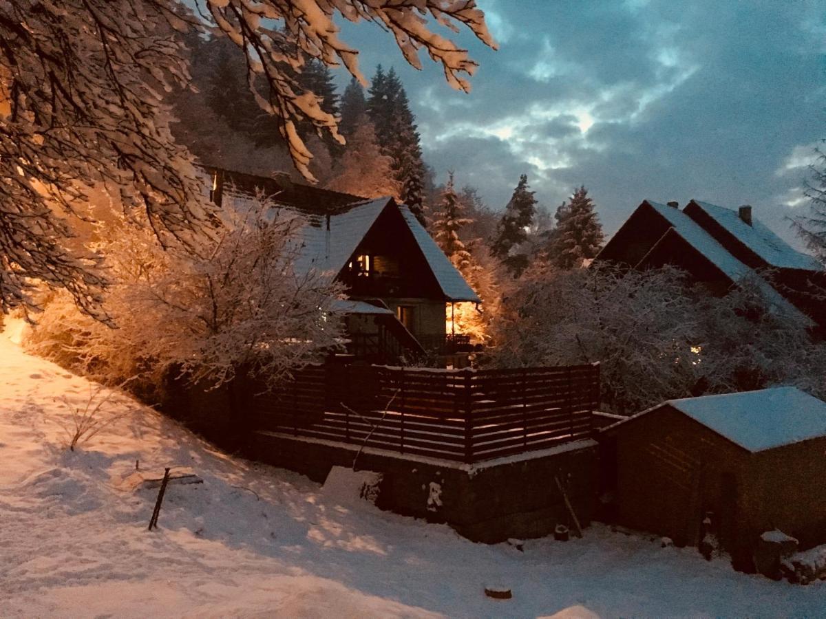 Soho Lodge Rasnov Eksteriør billede