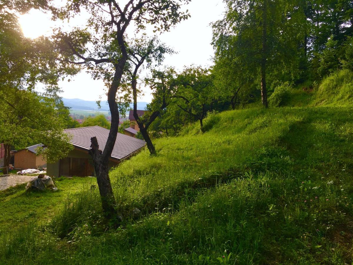 Soho Lodge Rasnov Eksteriør billede