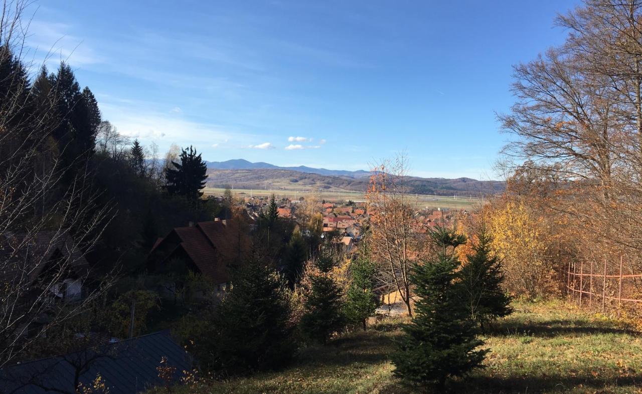 Soho Lodge Rasnov Eksteriør billede