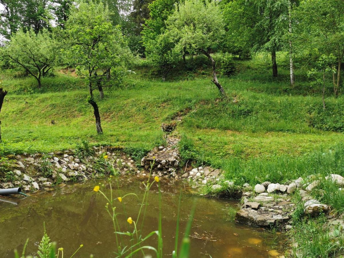 Soho Lodge Rasnov Eksteriør billede