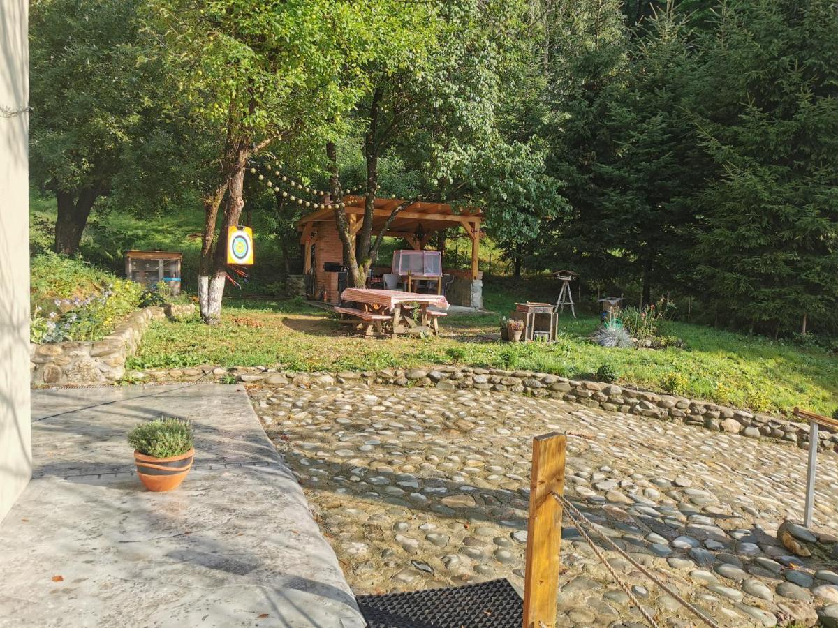 Soho Lodge Rasnov Eksteriør billede