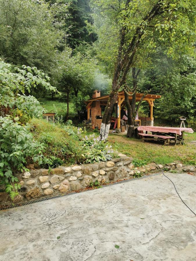 Soho Lodge Rasnov Eksteriør billede